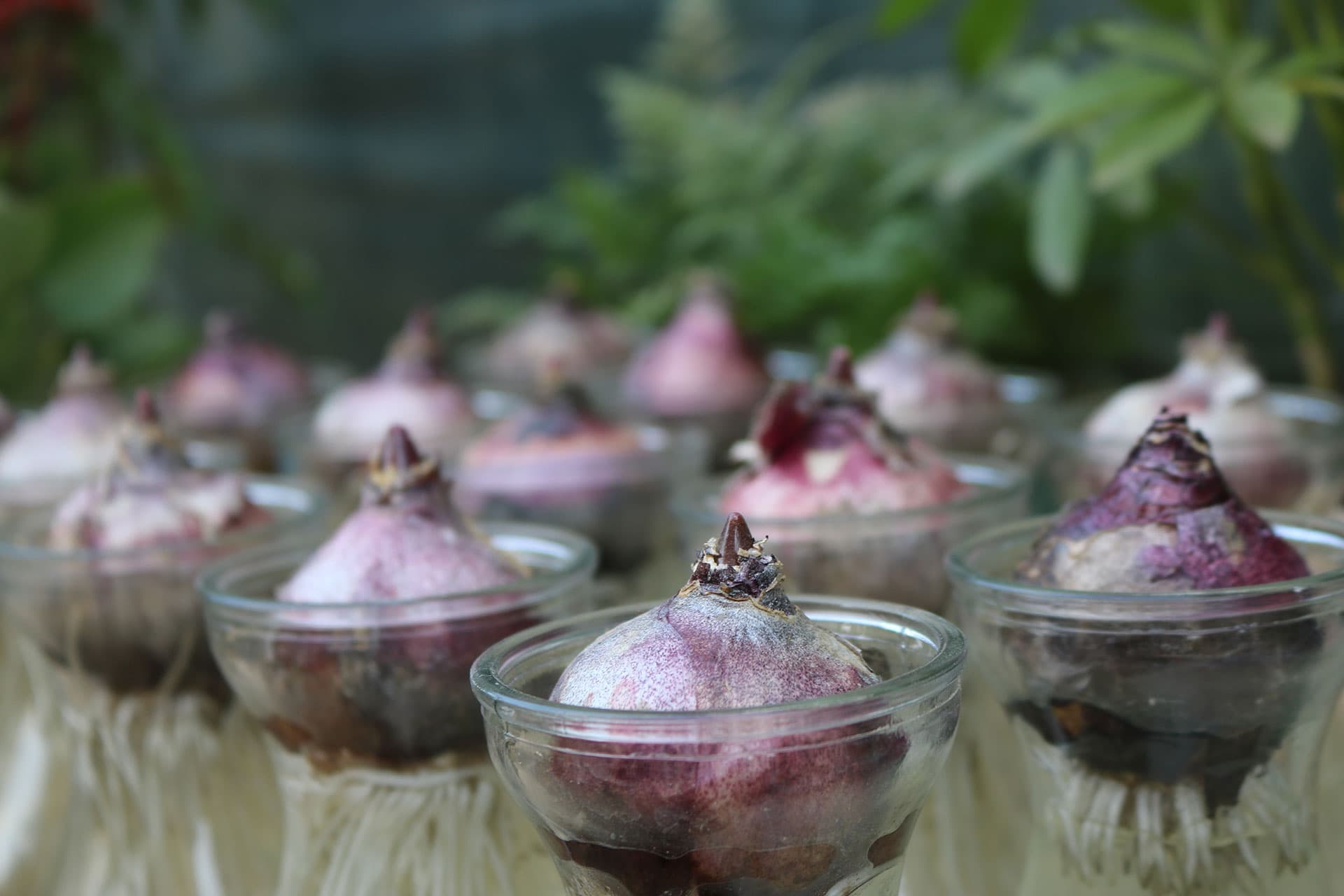 Kristy working with a client during a nutritional therapy consultation